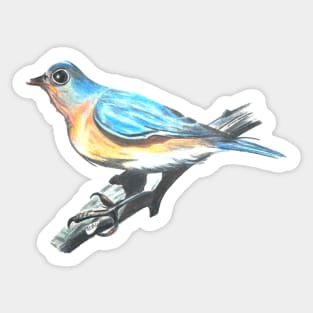 Blue bird Sticker